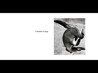 Y también el yoga 