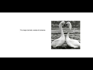 Y lo mejor de todo: existe el romance. 