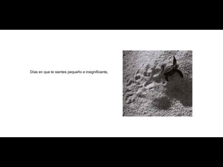 Días en que te sientes pequeño e insignificante,   