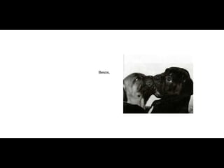 Besos, 