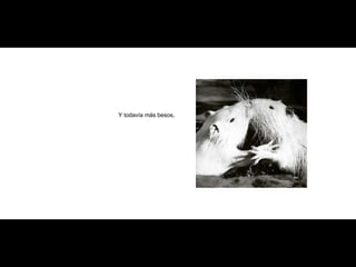 Y todavía más besos, 