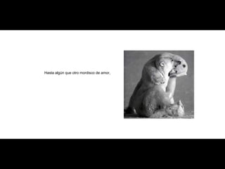 Hasta algún que otro mordisco de amor, 