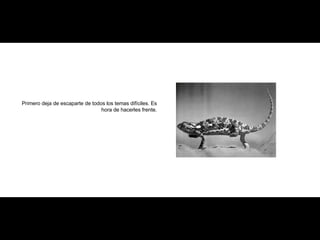 Primero deja de escaparte de todos los temas difíciles. Es hora de hacerles frente. 