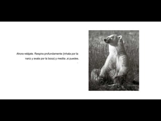 Ahora relájate. Respira profundamente (inhala por la  nariz y exala por la boca) y medita ,si puedes. .  