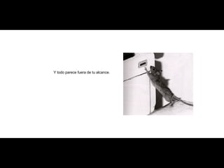 Y todo parece fuera de tu alcance. 