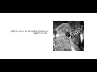 Acepta el hecho de que deberás dejar atrás algunas cargas emocionales. 