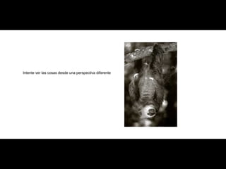 Intente ver las cosas desde una perspectiva diferente 