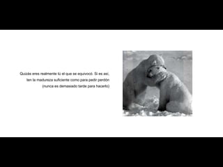 Quizás eres realmente tú el que se equivocó. Si es así, ten la madureza suficiente como para pedir perdón (nunca es demasi...