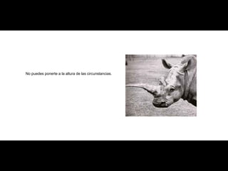 No puedes ponerte a la altura de las circunstancias. 