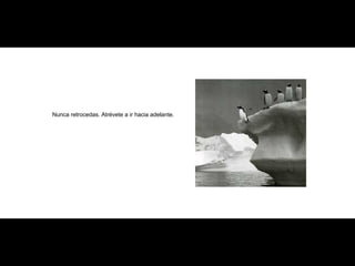 Nunca retrocedas. Atrévete a ir hacia adelante. 