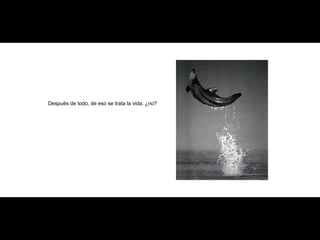 Después de todo, de eso se trata la vida. ¿no? 