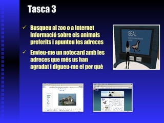 Tasca 3 Busqueu al zoo o a Internet informació sobre els animals preferits i apunteu les adreces Envieu-me un notecard amb les adreces que més us han agradat i digueu-me el per què   