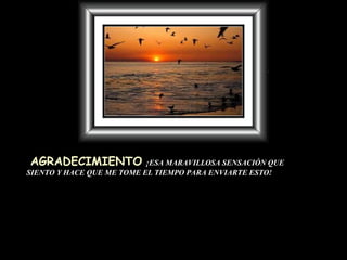 AGRADECIMIENTO   ¡ESA MARAVILLOSA SENSACIÓN QUE SIENTO Y HACE QUE ME TOME EL TIEMPO PARA ENVIARTE ESTO! 