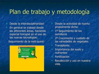 Plan de trabajo y metodología Desde la interdisciplinaridad: En general se trabajó desde las diferentes áreas, haciendo especial hincapié en el uso de las nuevas tecnologías: Seguimiento de la web quest: Desde la actividad de huerto propiamente dicha: 1º Seguimiento de los semilleros 2º Crecimiento y cuidado de las variedades de vegetales Transplante. Importancia del suelo y nutrientes Fertilización Recolección y uso en nuestra vida. 