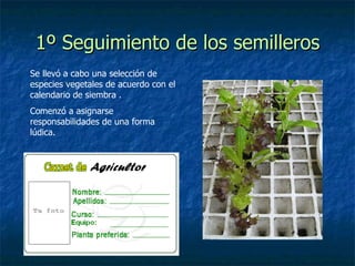 1º Seguimiento de los semilleros Se llevó a cabo una selección de especies vegetales de acuerdo con el calendario de siembra . Comenzó a asignarse responsabilidades de una forma lúdica. 