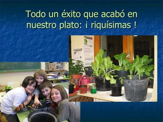 Todo un éxito que acabó en nuestro plato: ¡ riquísimas ! 