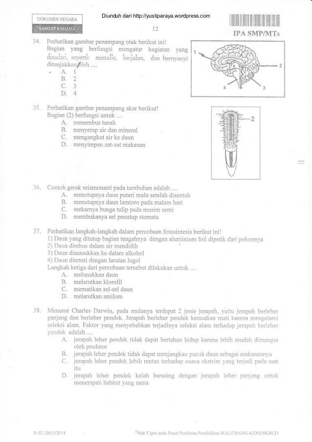 SOAL Un ipa-smp-mts-2014-kd-dampak-seorang-tumpukan