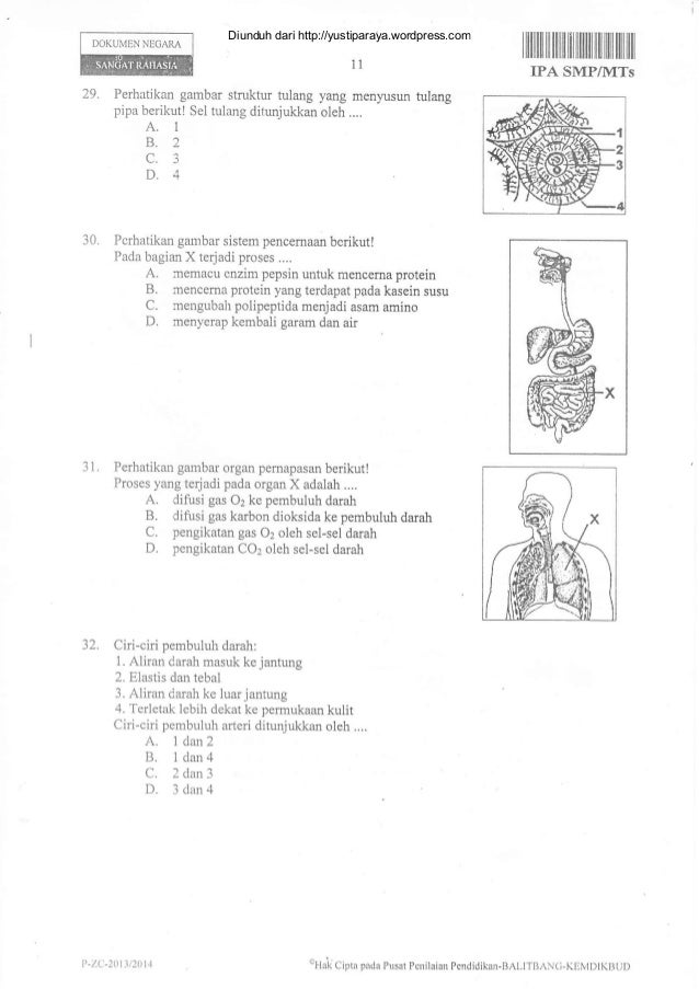 SOAL Un ipa-smp-mts-2014-kd-pengaruh-ketika-limbah