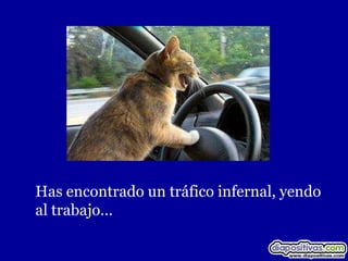 Has encontrado un tráfico infernal, yendo
al trabajo…
 