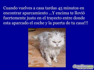 Cuando vuelves a casa tardas 45 minutos en
encontrar aparcamiento …Y encima te llovió
fuertemente justo en el trayecto entre donde
esta aparcado el coche y la puerta de tu casa!!!
 