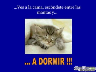 …Ves a la cama, escóndete entre las
            mantas y…
 