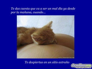 Te das cuenta que va a ser un mal día ya desde
por la mañana, cuando…




         Te despiertas en un sitio extraño
 