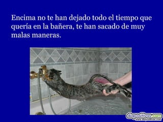 Encima no te han dejado todo el tiempo que
quería en la bañera, te han sacado de muy
malas maneras.
 