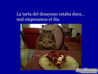 La tarta del desayuno estaba dura…
mal empezamos el día.
 