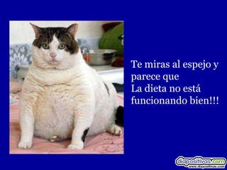 Te miras al espejo y
parece que
La dieta no está
funcionando bien!!!
 
