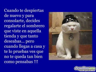 Cuando te despiertas
de nuevo y para
consolarte, decides
regalarte el sombrero
que viste en aquella
tienda y que tanto
deseabas… pero
cuando llegas a casa y
te lo pruebas ves que
no te queda tan bien
como pensabas !!!
 
