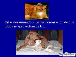 Estas desanimado y tienes la sensación de que
todos se aprovechan de ti…
 