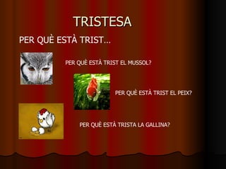 TRISTESA PER QUÈ ESTÀ TRIST…  PER QUÈ ESTÀ TRIST EL MUSSOL? PER QUÈ ESTÀ TRISTA LA GALLINA? PER QUÈ ESTÀ TRIST EL PEIX? 