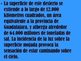 La superficie de este desierto se extiende a lo largo de 12.000 kilómetros cuadrados, un área equivalente a la provincia de Guadalajara, y alberga alrededor de 64.000 millones de toneladas de sal. La incidencia de la luz sobre la superficie mojada provoca la sensación de estar caminando sobre el cielo.  