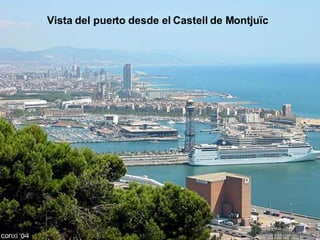 Vista del puerto desde el Castell de Montjuïc 