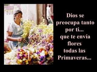 Dios se preocupa tanto por ti...  que te envía flores  todas las  Primaveras...  