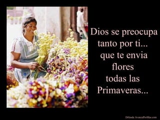 Dios se preocupa
tanto por ti...
que te envia
flores
todas las
Primaveras...
Difunde AvanzaPorMas.com
 