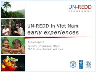 UN-REDD in Viet Nam
early experiences
Akiko Inoguchi
Forestry – Programme officer
FAO Representation in Viet Nam
 