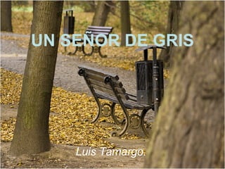 UN SEÑOR DE GRIS Luis Tamargo.   