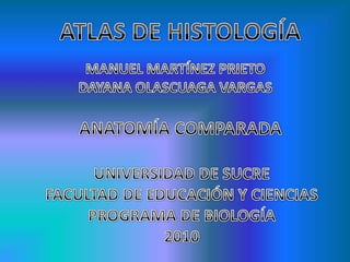 ATLAS DE HISTOLOGÍA MANUEL MARTÍNEZ PRIETO DAYANA OLASCUAGA VARGAS ANATOMÍA COMPARADA UNIVERSIDAD DE SUCRE FACULTAD DE EDUCACIÓN Y CIENCIAS PROGRAMA DE BIOLOGÍA 2010 