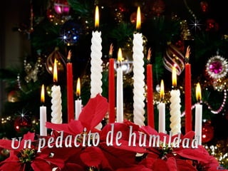 Un pedacito de humildad ... 