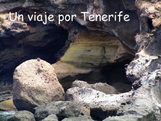 Un viaje por Tenerife 