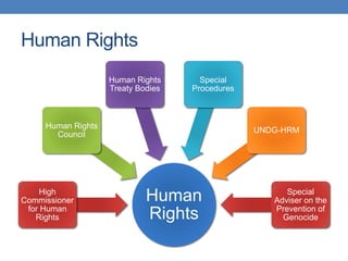Human Rights
Human
Rights
High
Commissioner
for Human
Rights
Human Rights
Council
Human Rights
Treaty Bodies
Special
Procedures
UNDG-HRM
Special
Adviser on the
Prevention of
Genocide
 