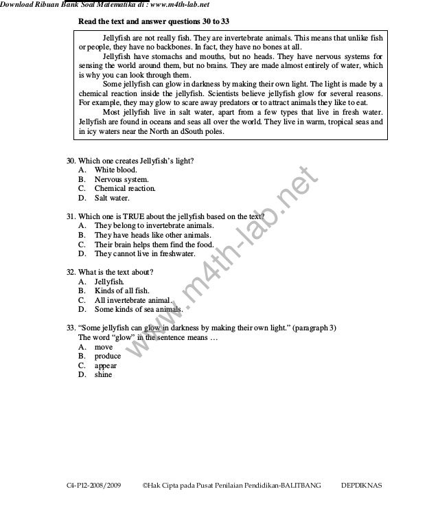 Soal Un Bahasa Inggris Tahun 2009