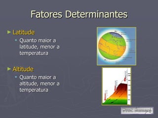 Fatores Determinantes Latitude Quanto maior a latitude, menor a temperatura Altitude Quanto maior a altitude, menor a temperatura 