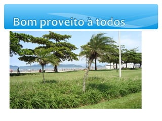 Apresentação 1º sem 2016