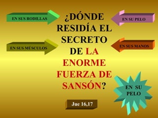 ¿DÓNDE RESIDÍA EL SECRETO DE  LA ENORME FUERZA DE SANSÓN ? EN SUS RODILLAS EN SUS MÚSCULOS EN SU PELO EN SUS MANOS EN  SU PELO Jue 16,17 