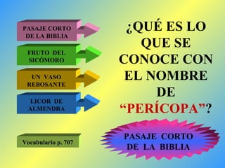 ¿QUÉ ES LO QUE SE CONOCE CON EL NOMBRE DE  “PERÍCOPA” ? PASAJE CORTO DE LA BIBLIA FRUTO  DEL SICÓMORO UN  VASO REBOSANTE LICOR  DE ALMENDRA PASAJE  CORTO DE  LA  BIBLIA Vocabulario p. 707 