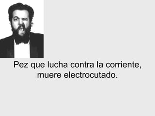 Pez que lucha contra la corriente, muere electrocutado . 