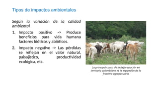 Tipos de impactos ambientales
Según la variación de la calidad
ambiental
1. Impacto positivo -> Produce
beneficios para vida humana
factores bióticos y abióticos.
2. Impacto negativo -> Las pérdidas
se reflejan en el valor natural,
paisajístico, productividad
ecológica, etc.
La principal causa de la deforestación en
territorio colombiano es la expansión de la
frontera agropecuaria
 