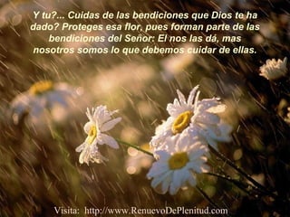 Y tu?... Cuidas de las bendiciones que Dios te ha
dado? Proteges esa flor, pues forman parte de las
bendiciones del Señor: El nos las dá, mas
nosotros somos lo que debemos cuidar de ellas.
Visita: http://www.RenuevoDePlenitud.com
 